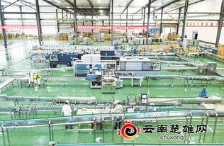 摩爾農莊 以技術服務為引擎推動三產融合發展